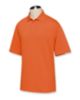 Denver Broncos Men's CB DryTec Championship Polo