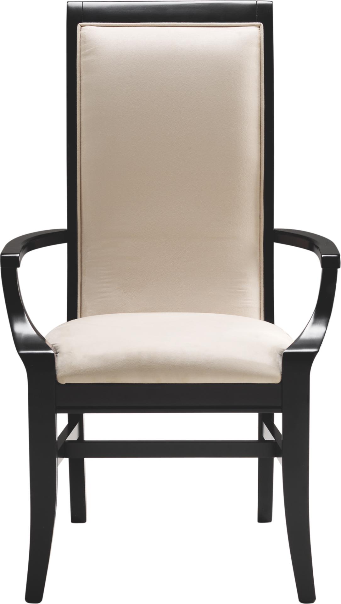 Studio One Black Upholstered Arm Chair