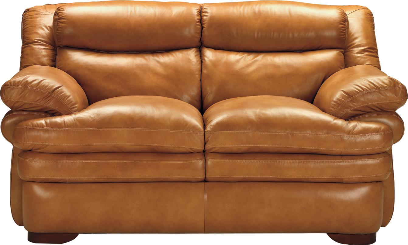 Canyon Camel Leather Loveseat