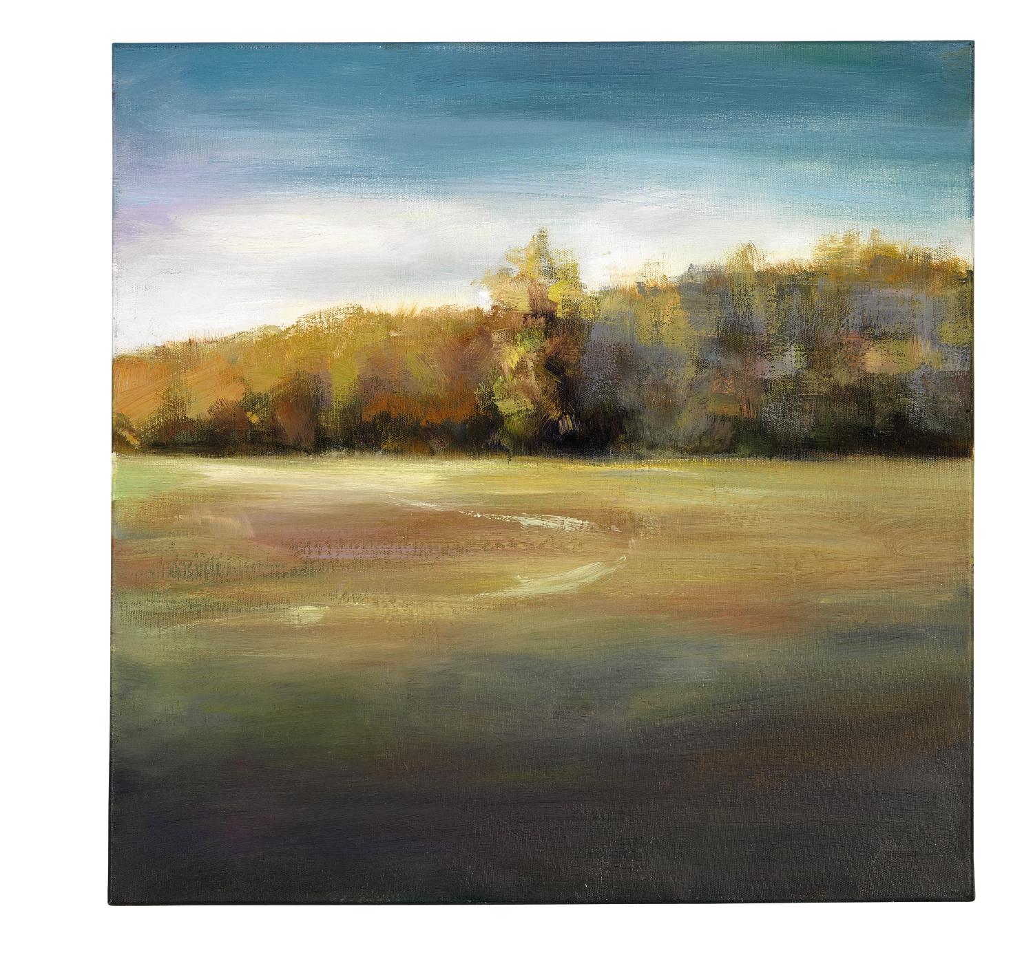 Landscape 4 20x20 Painting