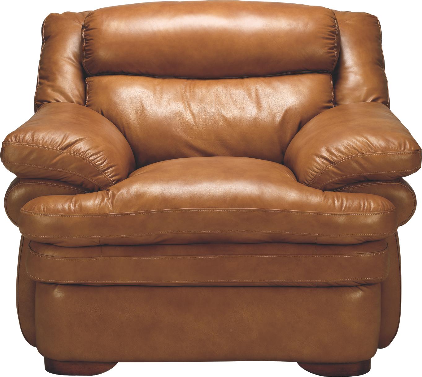 Canyon Camel Leather Chair