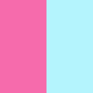 Rose Vioet/Tropical Teal