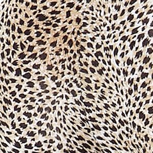 Jazzy Jag