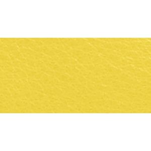 SILVER/LEMON
