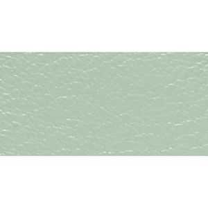 SILVER/MINT