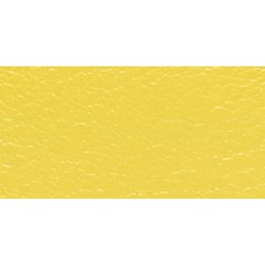 SILVER/LEMON