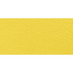 SILVER/LEMON