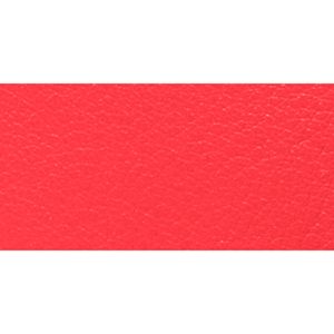 SILVER/BRIGHT CORAL