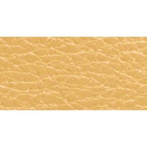 SILVER/CANARY