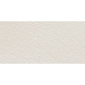 SILVER/PARCHMENT