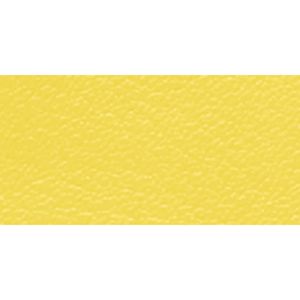 SILVER/LEMON