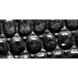 SILVER/BLACK/BLACK LIZARD
