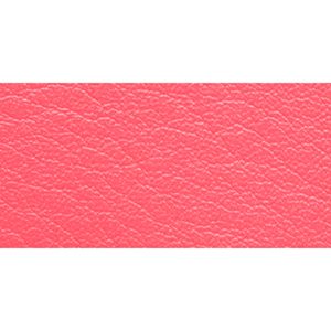SILVER/BRIGHT CORAL
