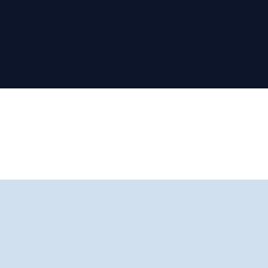 White/LT Blue