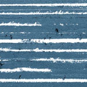 Navy Stain
