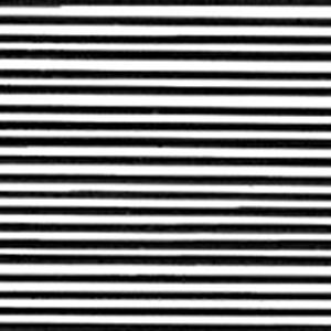 Rapid Black