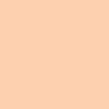 Matte Porcelaine Delicate I