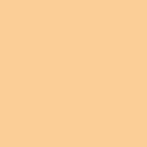 Bisque 2C