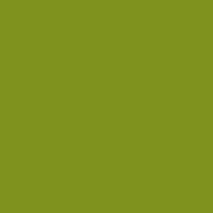 Green Group