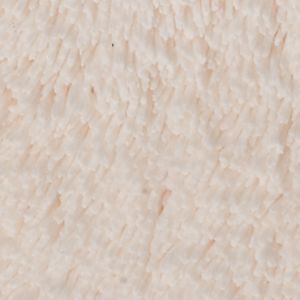 Rich Ivory