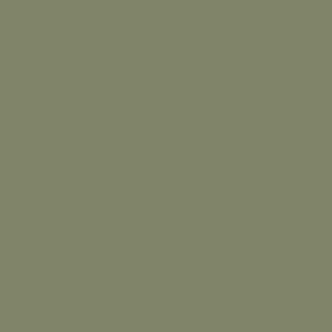Caper