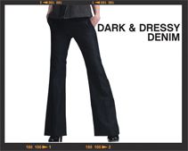 Dark & Dressy Denim