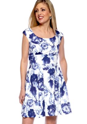 Donna Ricco New York Sleeveless Printed Fit and Flare Dress