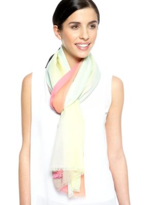 Vince Camuto Multi Color Ombre Scarf