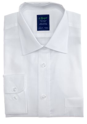 Haspel Breeze Point Dress Shirt