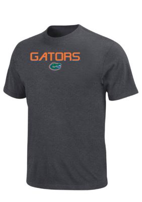 Section 101 by Majestic Big & Tall Florida Gators NCAA Dream Tee