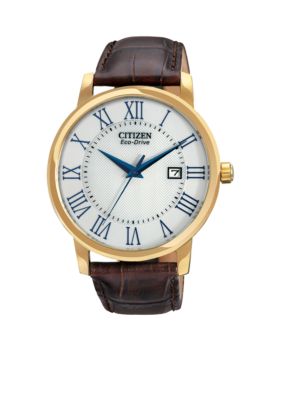 Citizen Men's Eco-Drive Strap Watch