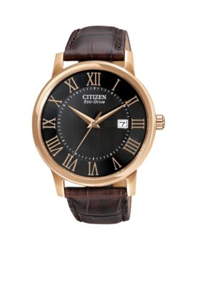 Citizen Men's Eco-Drive Strap Watch
