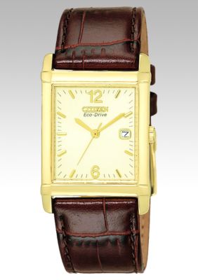 Citizen Men's Eco-Drive Brown Leather Strap Champagne Dial