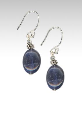 Belk Silverworks Sodalite Oval Bead Drop Earriing