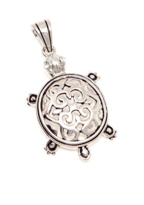 New Directions Pendant - Turtle Slide