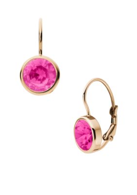 Michael Kors Jewelry Pink Stone Lever Back Earrings