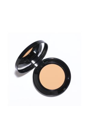 Bobbi Brown Moisturizing Cream Compact Foundation