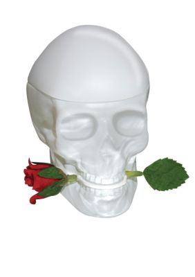 Ed Hardy Skulls & Roses for Her