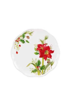Amaryllis Accent