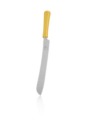 Cake Knife