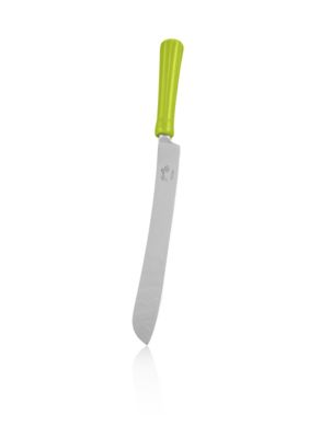 Cake Knife