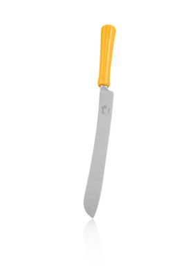Cake Knife