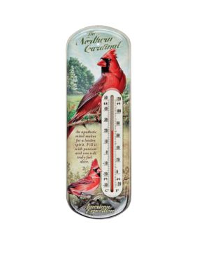American Expedition Cardinal 3-D Thermometer