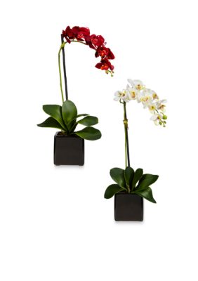 Nearly Natural Phalaenopsis Orchid Silk Arrangement with Black Vase