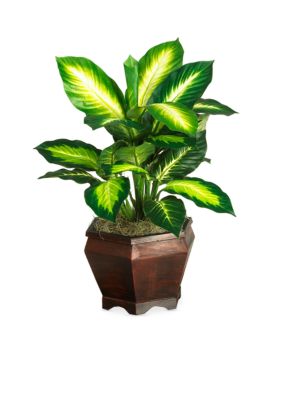 Nearly Natural 20-in. Golden Dieffenbachia Silk Plant with Wood Vase