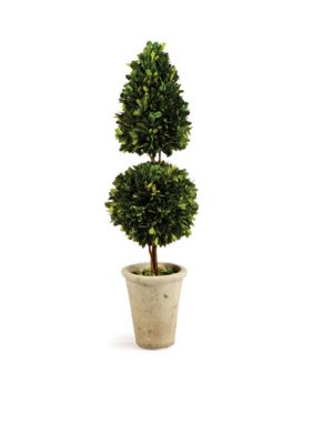 Napa Home & Garden 25-in. Boxwood Cone & Ball Topiary