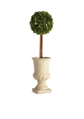 Napa Home & Garden Boxwood 24-in. Single Ball Topiary in Urn