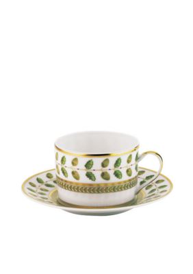 Saucer