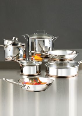 Emerilware 10 pc. Stainless Cookware Set