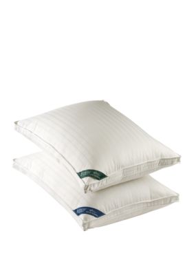 400 Thread Count Jumbo Back Sleeper Pillow 20-in. x 28-in.